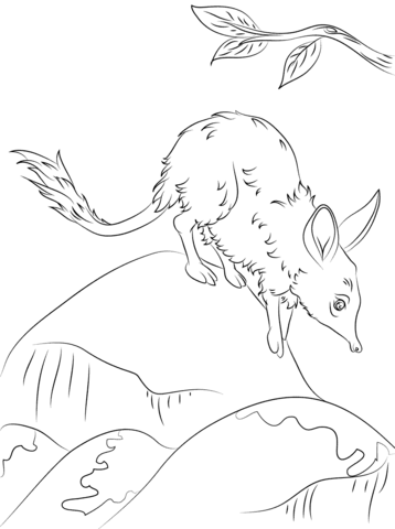 Cute Greater Bilby Coloring Page